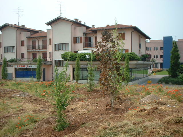 parcopiante190502.JPG (130316 byte)