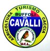 BUFFOLICAVALLI-VecchioliniPasquale.jpg (5843 byte)