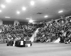 palazzettogdb.jpg (16008 byte)