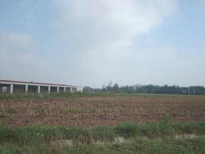 area1a.JPG (8621 byte)