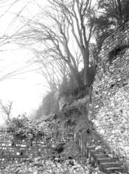 cintacastello.jpg (10474 byte)