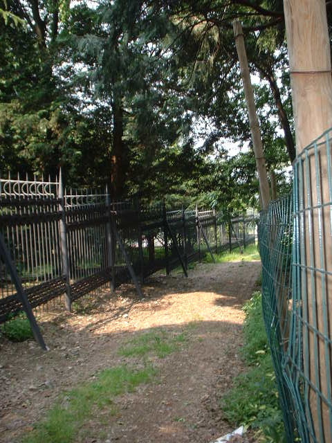 cancellocastello3.JPG (152873 byte)